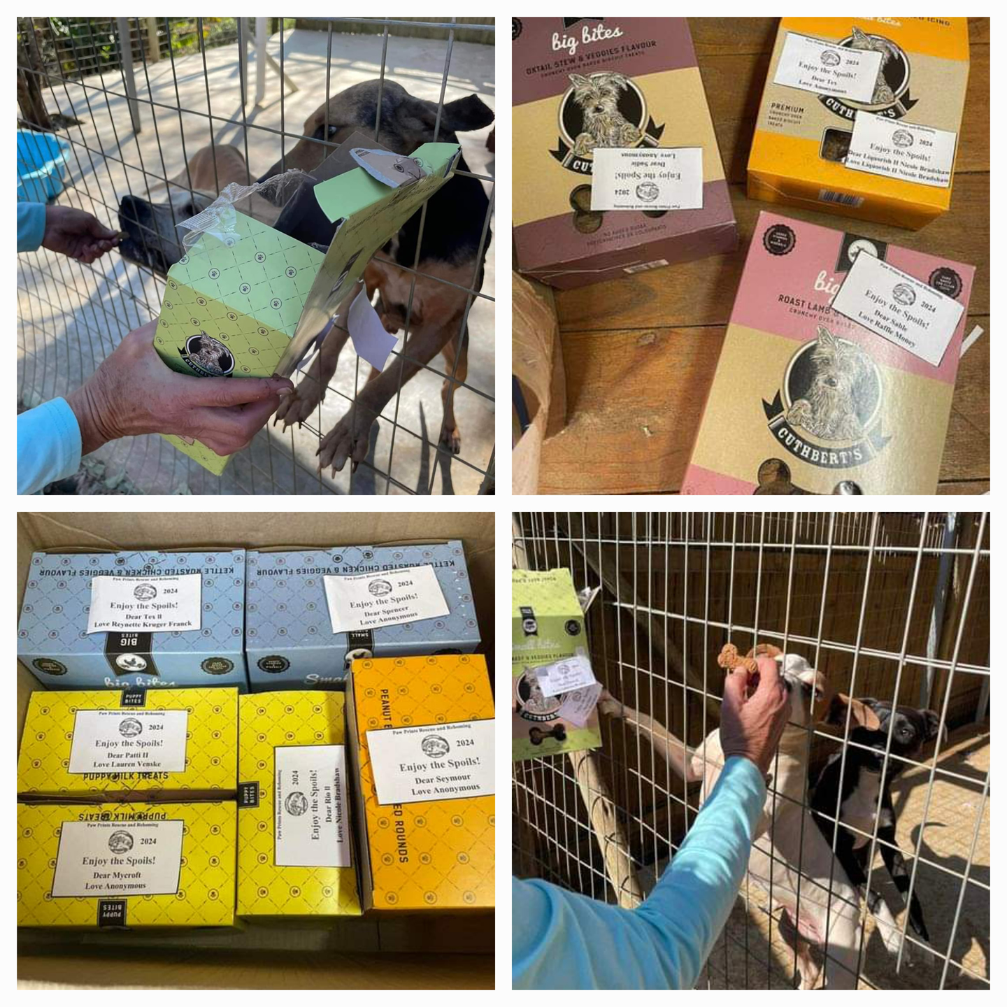 Paw Prints Rescue & Rehoming